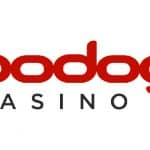 bodog casino
