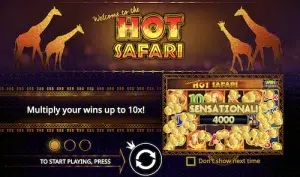 Hot Safari