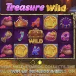 Treasure Wild