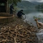 1,400 Bone Fragments Discovered in Philippine Lake Amid E-Sabong Investigation