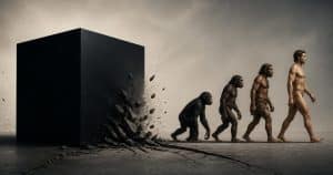 Black Cube Challenges Evolution Over Misconduct Allegations